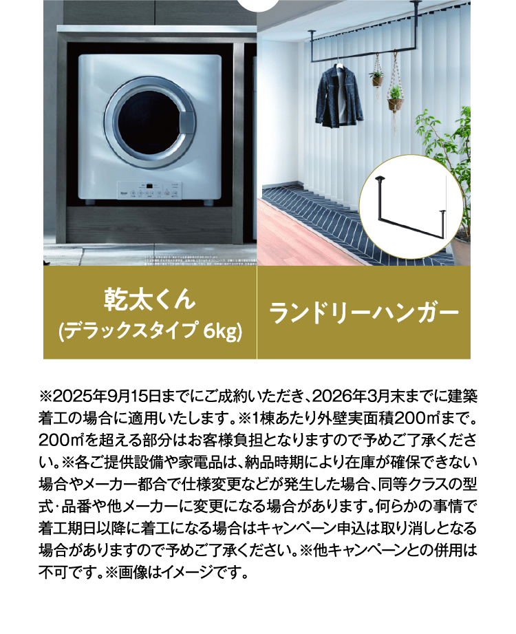 【幹太くん（デラックスタイプ 6kg）】【ランドリーハンガー】